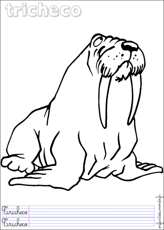 coloriage morse 1